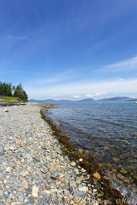 Click Here to Go Back