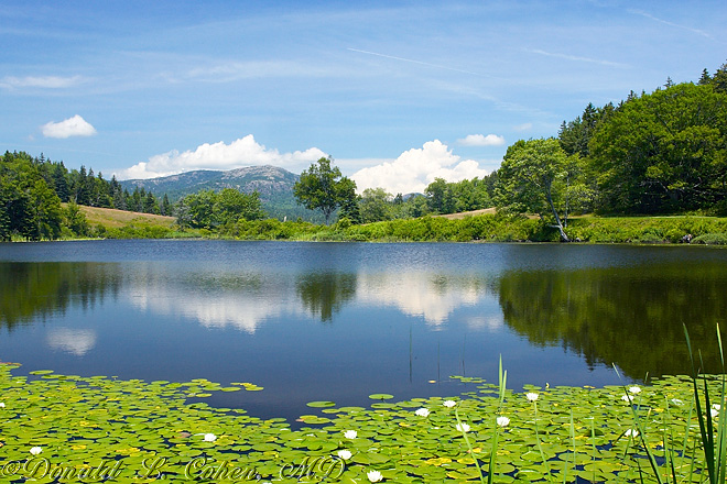 Click Here to Go Back