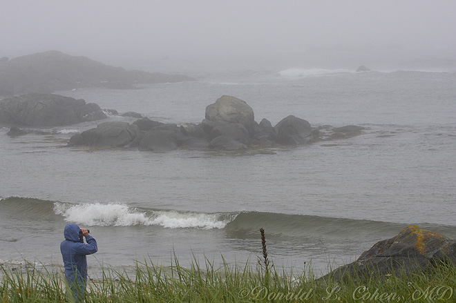 Click Here to Go Back