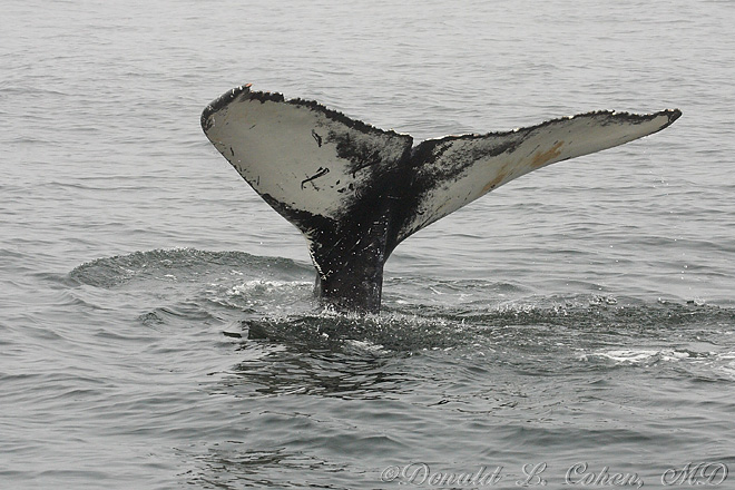 Click Here to Go Back