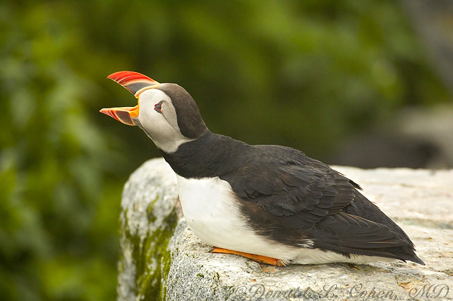 Click Here to Go Back