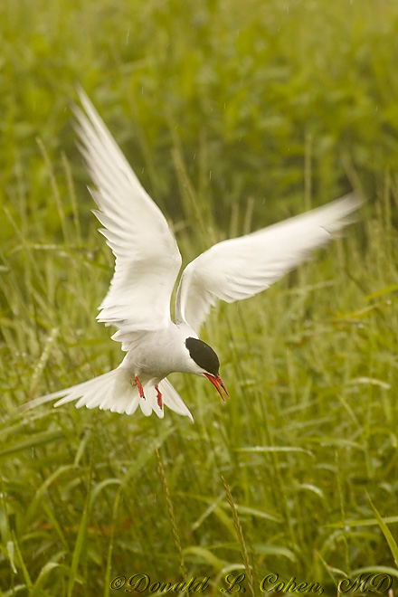 Click Here to Go Back